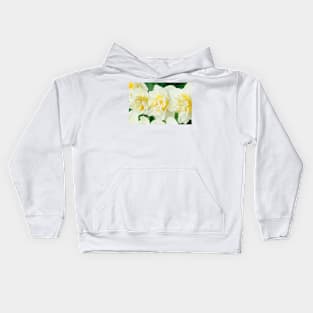 Narcissus  &#39;White Lion&#39;  AGM   Division 4  Double Daffodil Kids Hoodie